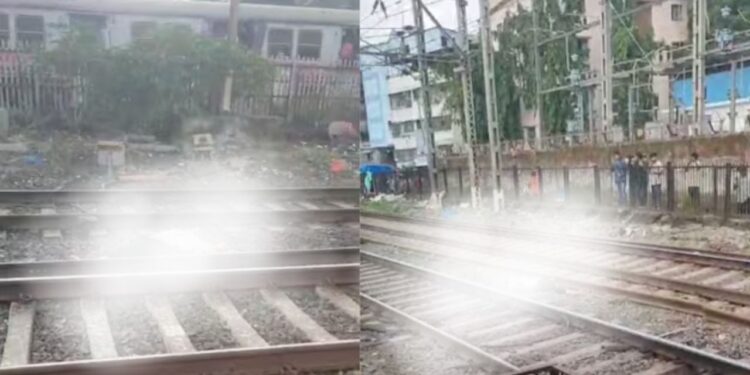 Mumbai Train Accident : मुंबईत लोकलच्या दारात लटकलेल्या ४ प्रवाशांचा दुर्दैवी मृत्यू, २ गंभीर जखमी