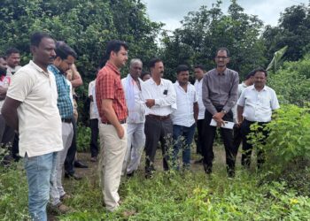 Collector inspects damage in Bhum