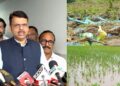 2215 crores assistance to farmers CM Devendra Fadnavis