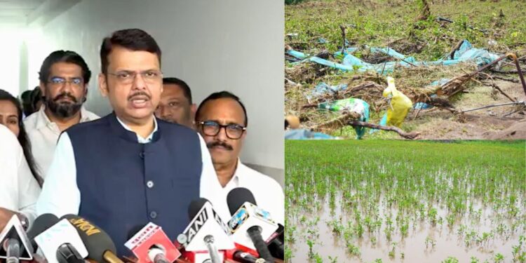 2215 crores assistance to farmers CM Devendra Fadnavis