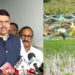 2215 crores assistance to farmers CM Devendra Fadnavis