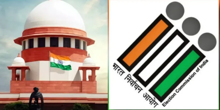 Maharashtra Local Body Election