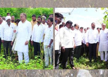 Mla Ranajagjitsinha Patil