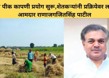 Mla Ranajagjitsinha patil on farmers assistance