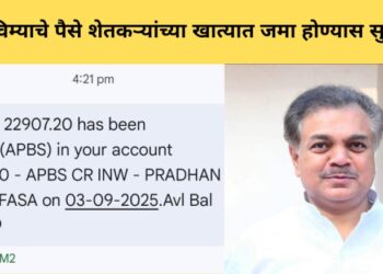 kharip pik vima 2024