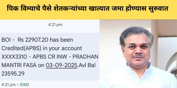 kharip pik vima 2024