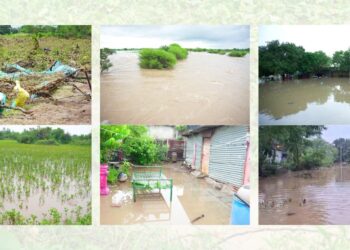 dharashiv heavy rain update