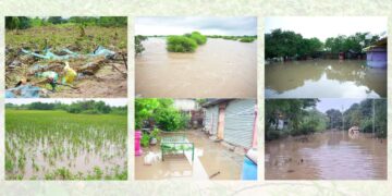 dharashiv heavy rain update