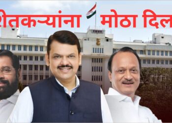 Flood Relief Package By Maharashtra Government