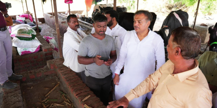 MLA Ranajagjitsinha patil