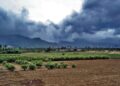 Monsoon Maharashtra Update