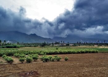 Monsoon Maharashtra Update