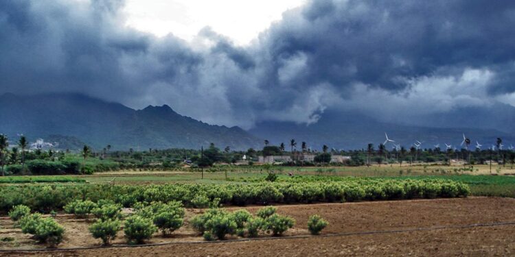 Monsoon Maharashtra Update