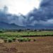 Monsoon Maharashtra Update