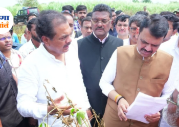 पीकविम्यातील तांत्रिक तफावत दूर करण्यासाठी आ. राणाजगजितसिंह पाटलांचा पाठपुरावा; मुख्यमंत्र्यांचे केंद्राला पत्र